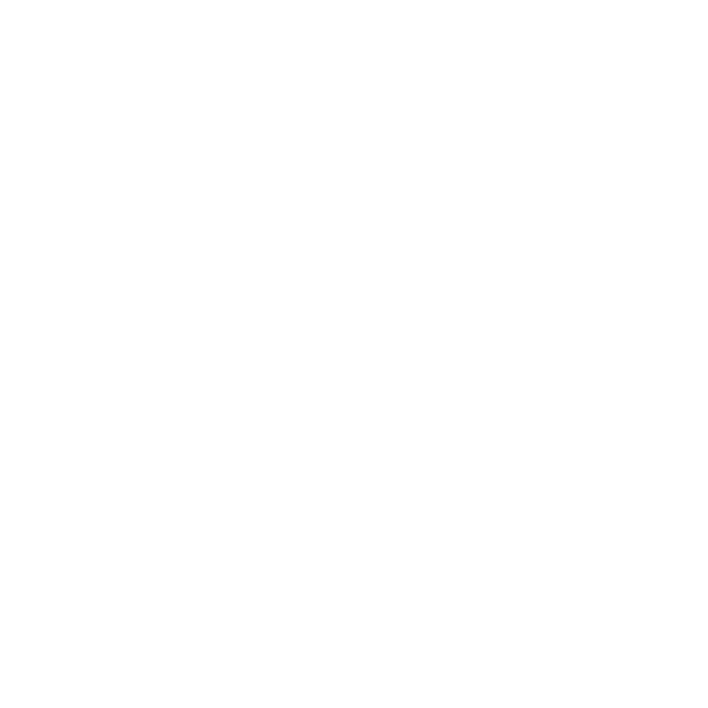 Bedi's Beach Logo